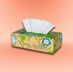 Cardboard Tissue Boxes